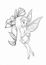 Disney Fairy Rosetta Coloring Pages sketch template
