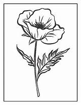 Memorial Day Poppies Coloring Pages By Awesome Art Activities  TPT sketch template