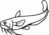 Free Printable Catfish Coloring Pages sketch template
