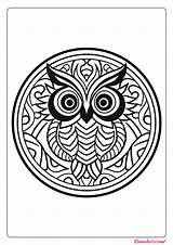 🦉 Free Printable Owl Coloring Pages  Kumalart sketch template