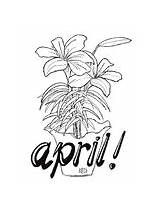 April Coloring Pages By Faith In Art Anne  TPT sketch template