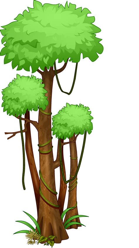 Rainforest Trees Clipart at GetDrawings | Free download