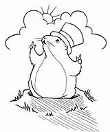 Punxsutawney Phil Coloring Page Pages sketch template