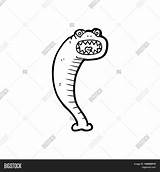 Leech Coloring Pages sketch template