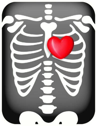 Free Heart Medical Cliparts, Download Free Heart Medical Cliparts png images, Free ClipArts on ...