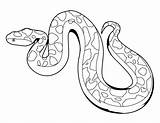 Corn Snake Coloring Sheets Pages sketch template