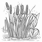 Premium Photo  Coloring Page Black And White Illustration Of Cattail sketch template