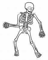 Halloween Skeleton Coloring Pages  15 Free PDF Printables Printablee sketch template