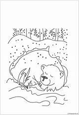 Hibernating Bear Coloring Pages sketch template