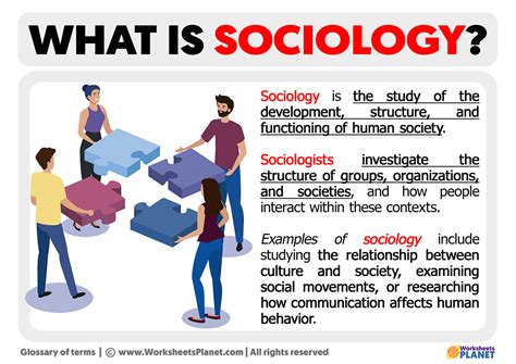 What is Sociology | Definition of Sociology