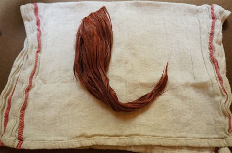 Rinse / air dry | How to Dye a Synthetic Mohair BJD Wig | Judi Cox | Flickr