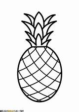 Free Planner Printable Pineapples Printables Pinteres  Vrogueco sketch template