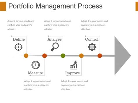 Portfolio Management Process Ppt PowerPoint Presentation Show Designs ...