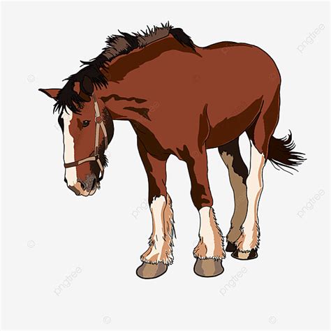 Walking Animals PNG Image, Small Animal Illustration Animal Walking Horse Free Material, Horse ...
