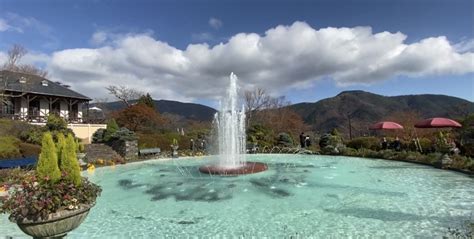 GORA PARK in HAKONE - TOKYO travel TIPS