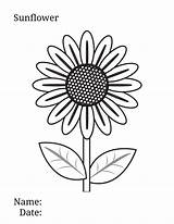 25 Free Sunflower Coloring Pages For Kids And Adults sketch template