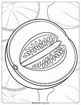 34 Fruit Coloring Pages Free PDF To Print  Woo sketch template