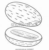 164009 Melons Coloring Images Stock Photos & Vectors  Shutterstock sketch template