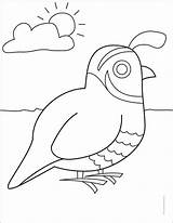 Quail Coloring Page sketch template