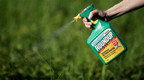 Thousands of glyphosate cancer-risk lawsuits filed against Bayer's ...