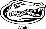 Florida Gators Coloring Pages  sketch template