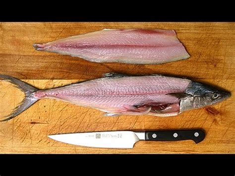 How to Fillet a Fish - YouTube