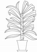 Cane Plant coloring Page  Download Free For sketch template