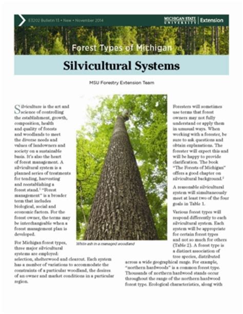 Forest Types of Michigan: Silvicultural Systems - MSU Extension