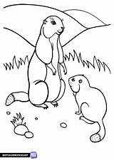 Groundhog Day coloring Pages  Bestcoloringpagesnet sketch template