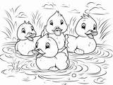 Simple Rubber Duckie Coloring For Children  Page sketch template