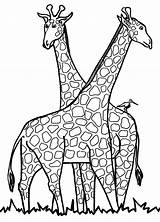 25 Best Ideas Giraffe Coloring Pages For Kids  Home Family Style And sketch template