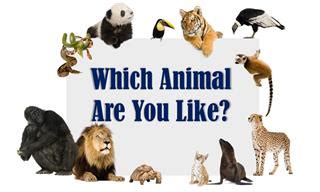 Quiz: What is Your Animal Personality