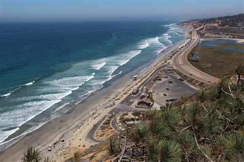 Torrey Pines State Reserve | Information, Trails, Wildlife, & Beach | La Jolla Mom