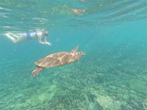 Tioman Coral Island Snorkeling Tour