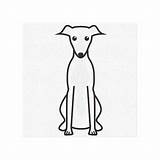 Whippet Clipart Greyhound Clip Outline Coloring Dog Template Line Pages  sketch template
