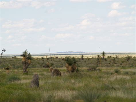 Jornada del Muerto Volcano | New Mexico Museum of Natural History & Science