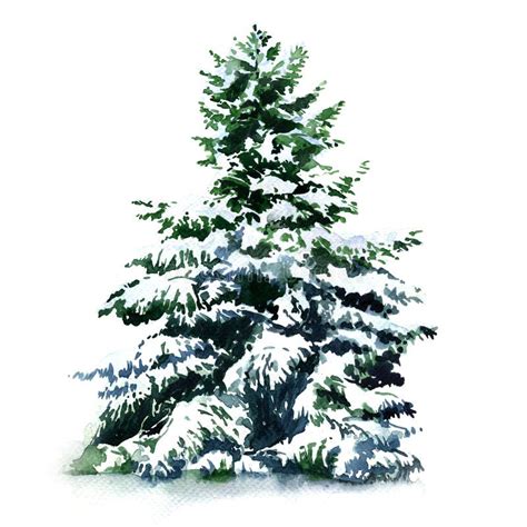 Christmas Tree Covered Snow In Winter, Isolated Stock Illustration - Image: 61696000