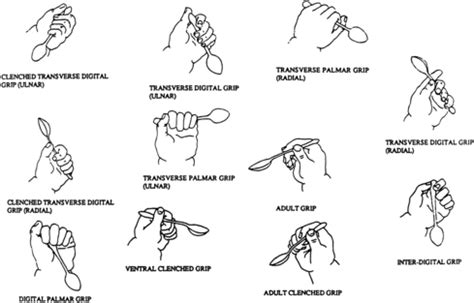 How Do You Hold Your Spoon? | Occupational therapy kids, Pediatric ...