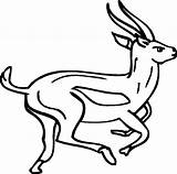 Springbok Coloring Pages Printable For Free Download sketch template