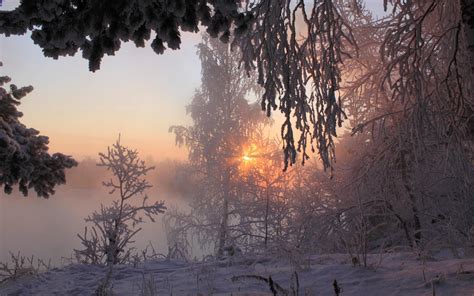 landscapes, Winter, Sunset, Sunrise, Trees, Forest Wallpapers HD ...