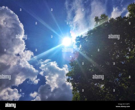 Midday summer sun Stock Photo - Alamy