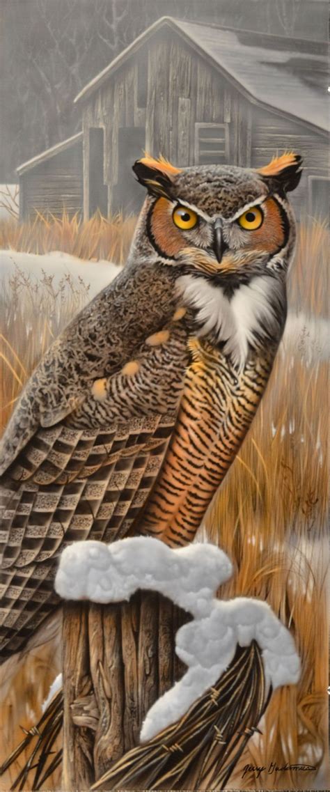 1115 best art of the owl images on Pinterest | Owls, Barn owls and Owl art