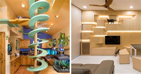 20 Creative Indoor Cat Playground Ideas | Home Design Lover | Diy apartments, Cat houses indoor ...