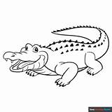 Alligator Coloring Page  Easy Drawing Guides sketch template