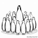 Penguin Coloring Pages For Adults  Free & Printable sketch template