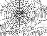 Printable Spider Web Coloring Pages For Kids  Cool2bKids sketch template