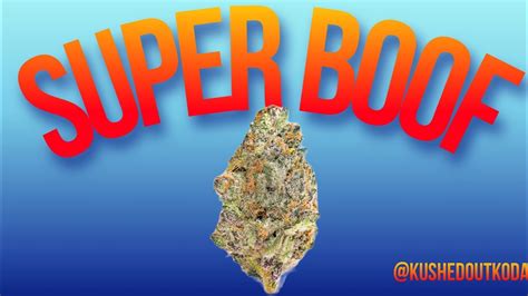 Super BOOF Strain Review: Daly Dope - YouTube