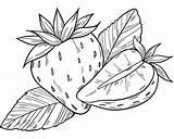 Strawberries coloring Page  ColouringPages sketch template