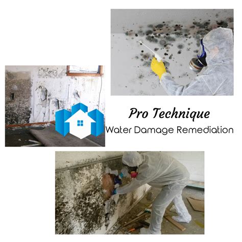 Mold Removal | Pro Technique Water Damage Remediation And Mold Removal