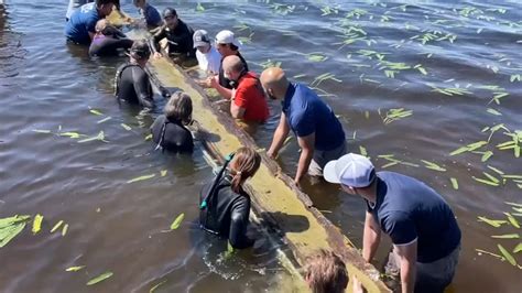 Discovery | Ancient Native American canoe pulled from Lake Waccamaw in southeastern North ...
